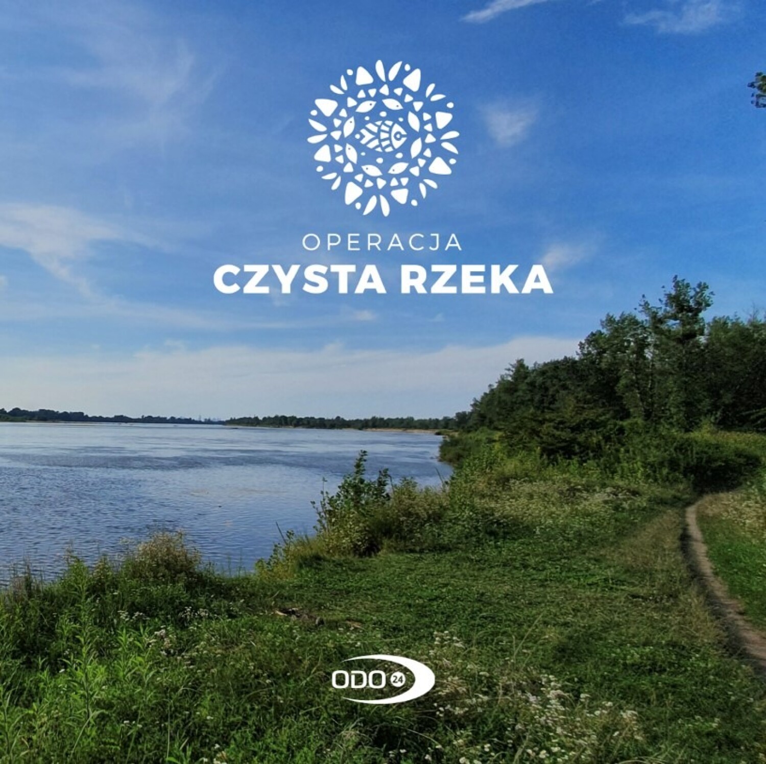 zielony wawer nad wisłą